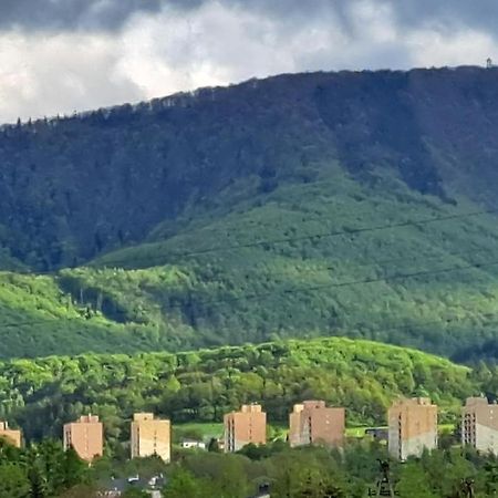 Apartamenty Bujaki Ustroń Esterno foto