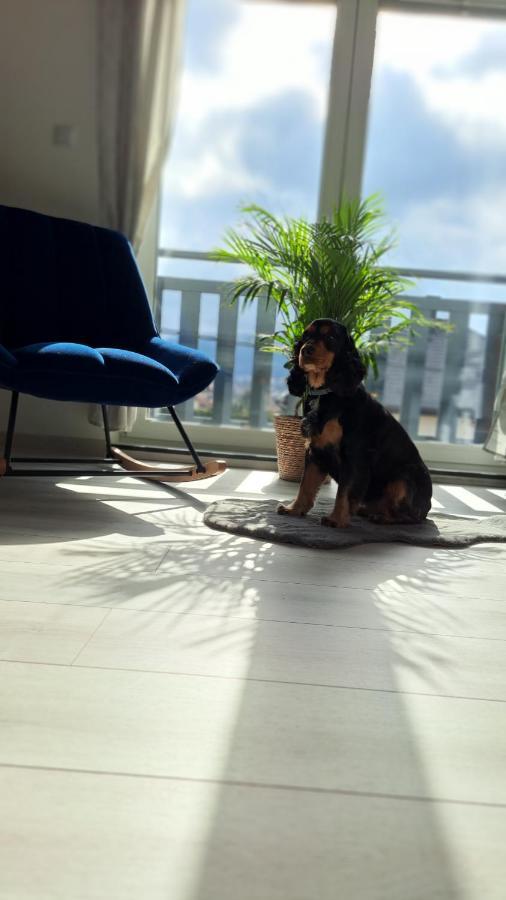 Apartamenty Bujaki Ustroń Esterno foto